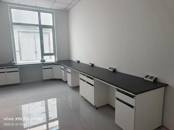 實驗家具蜜桃精品国产一区二区