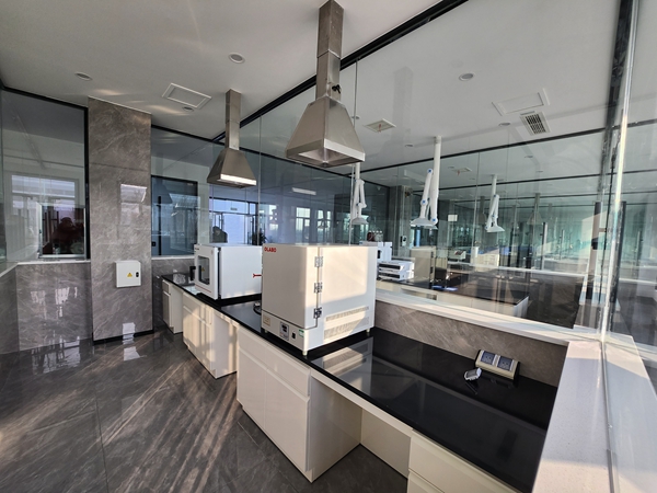 河南全鋼蜜桃精品国产一区二区